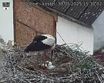 Capi_Dubne_20250530_153002.jpg