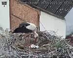 Capi_Dubne_20250530_163003.jpg