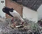 Capi_Dubne_20250530_163502.jpg
