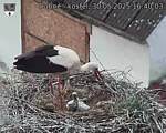Capi_Dubne_20250530_164003.jpg