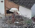 Capi_Dubne_20250530_170003.jpg
