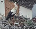 Capi_Dubne_20250530_170503.jpg