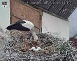 Capi_Dubne_20250530_171003.jpg