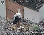 Capi_Dubne_20250530_172003.jpg
