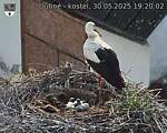 Capi_Dubne_20250530_192002.jpg