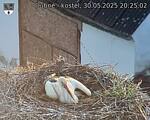 Capi_Dubne_20250530_202502.jpg