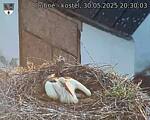 Capi_Dubne_20250530_203003.jpg