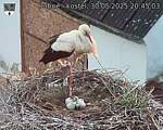 Capi_Dubne_20250530_204503.jpg