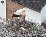 Capi_Dubne_20250530_210003.jpg