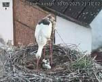 Capi_Dubne_20250530_211003.jpg