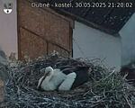 Capi_Dubne_20250530_212002.jpg