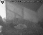 Capi_Dubne_20250530_214503.jpg