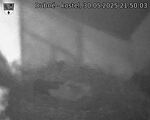Capi_Dubne_20250530_215003.jpg