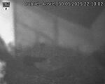 Capi_Dubne_20250530_221002.jpg