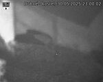 Capi_Dubne_20250530_230002.jpg