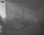 Capi_Dubne_20250530_231002.jpg