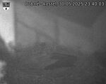 Capi_Dubne_20250530_234003.jpg