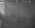 Capi_Dubne_20250531_000502.jpg