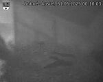 Capi_Dubne_20250531_001003.jpg