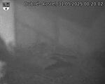 Capi_Dubne_20250531_002002.jpg
