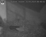 Capi_Dubne_20250531_004002.jpg