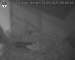 Capi_Dubne_20250531_004503.jpg