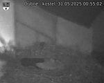 Capi_Dubne_20250531_005502.jpg