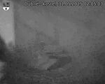 Capi_Dubne_20250531_020503.jpg