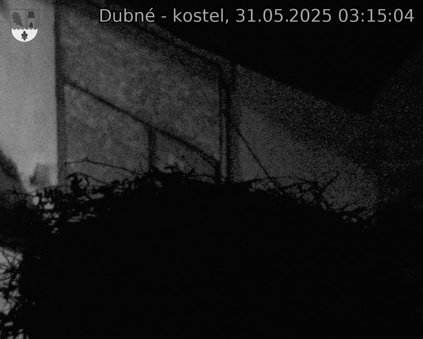 Capi_Dubne_20250531_031504.jpg (1350 x 1080)