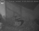Capi_Dubne_20250531_033003.jpg