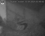 Capi_Dubne_20250531_034002.jpg