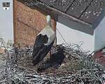 Capi_Dubne_20250531_110503.jpg