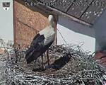 Capi_Dubne_20250531_120002.jpg