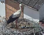Capi_Dubne_20250531_141003.jpg