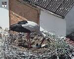 Capi_Dubne_20250531_143502.jpg