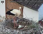 Capi_Dubne_20250531_145003.jpg