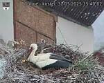 Capi_Dubne_20250531_154002.jpg