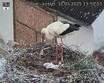 Capi_Dubne_20250531_155003.jpg