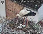 Capi_Dubne_20250531_155503.jpg