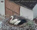 Capi_Dubne_20250531_160502.jpg