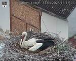 Capi_Dubne_20250531_161503.jpg