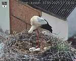 Capi_Dubne_20250531_171002.jpg