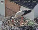 Capi_Dubne_20250531_173003.jpg