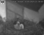 Capi_Dubne_20250531_213003.jpg