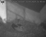 Capi_Dubne_20250531_214503.jpg
