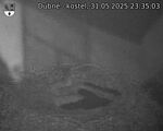 Capi_Dubne_20250531_233503.jpg
