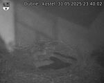 Capi_Dubne_20250531_234002.jpg
