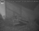 Capi_Dubne_20250531_234503.jpg