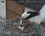 Capi_Dubne_20250601_123504.jpg