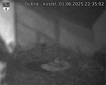 Capi_Dubne_20250601_223502.jpg